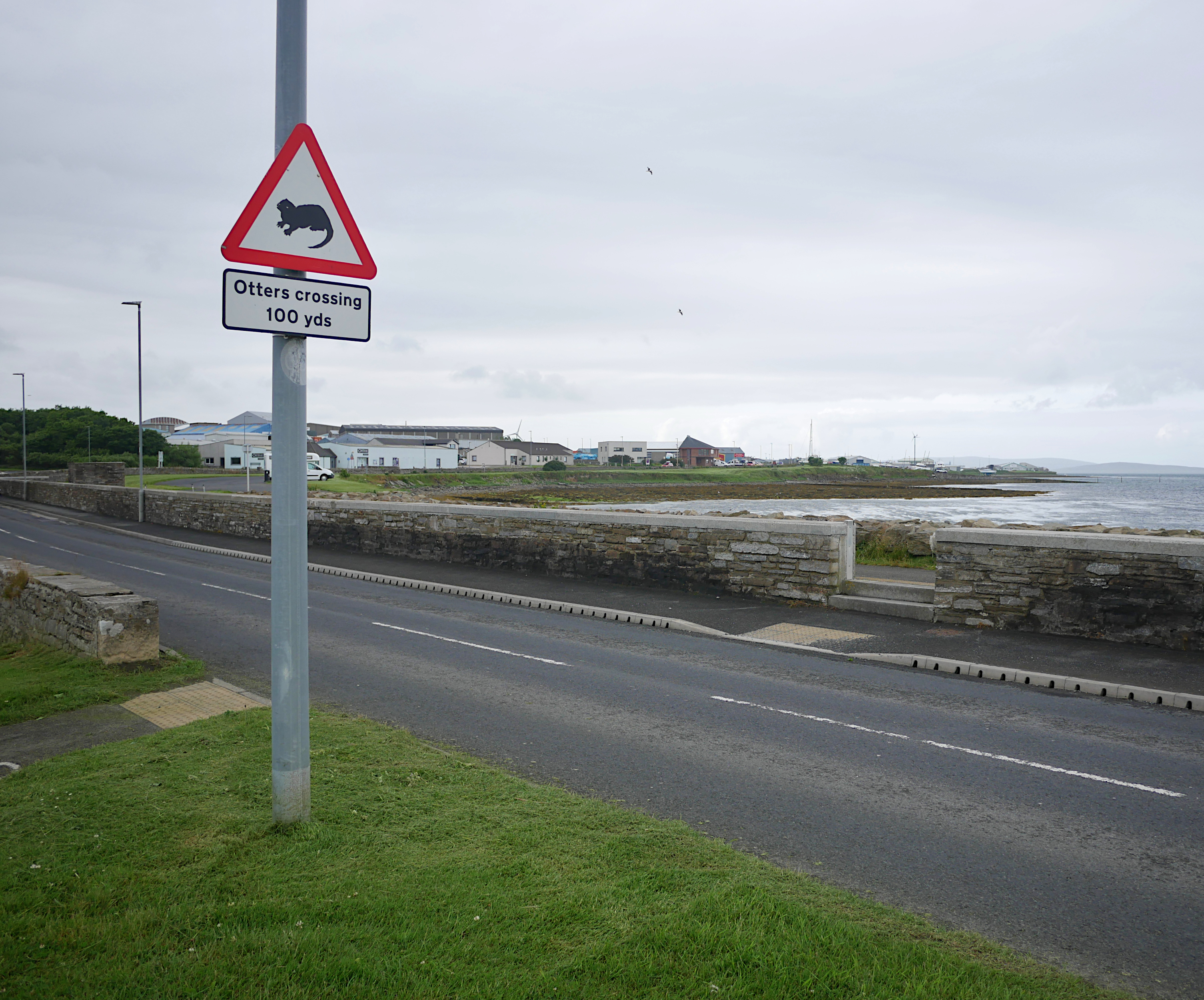 A traffic sign: Otters crossing, 100 yds