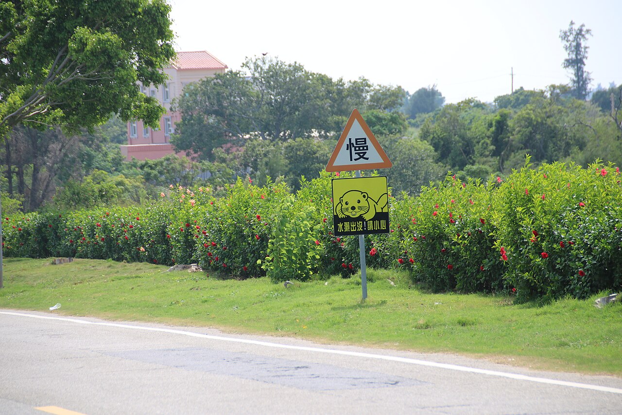 A warning sign in Chinese, featuring a lovely, chubby otter