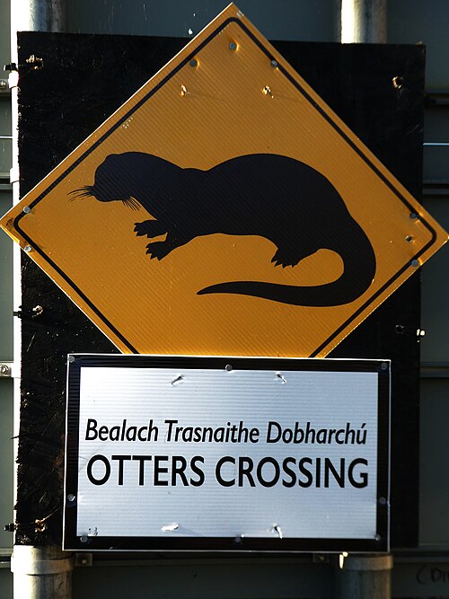 Bilingual Irish-English warning sign, in which 'Dobharchú' means 'Otters' in Irish.